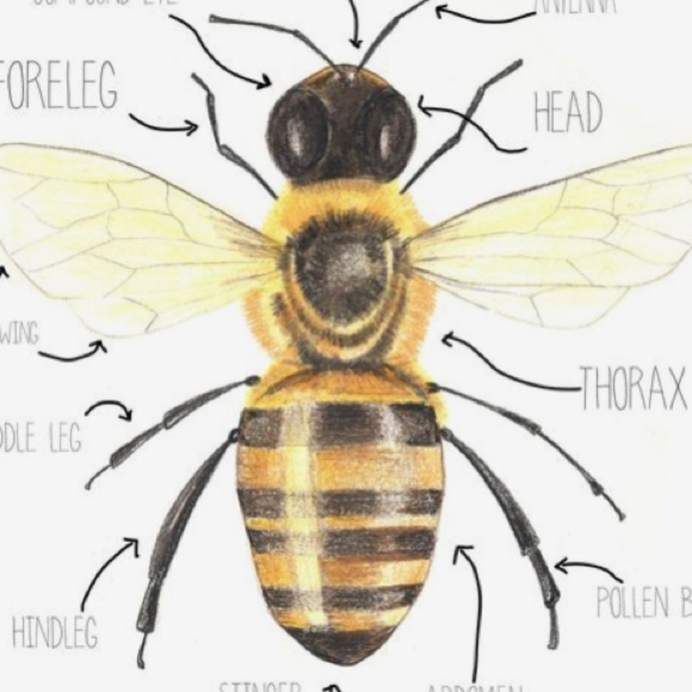 Meet your Posher, Tori